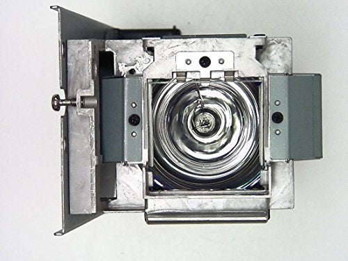 Best Value BenQ 190W Lamp Module for W700/W1060 Projectors