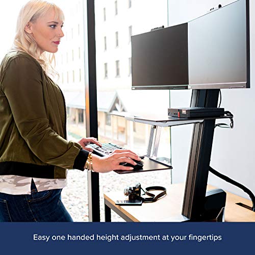 Ergotron WorkFit-S Dual with Worksurface+ - Stand (tray, desk clamp mount, pivot, column, crossbar) for 2 LCD displays / keyboard / mouse - black, polished aluminium - screen size: up to 24"