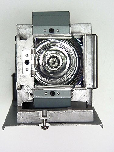 Best Value BenQ 190W Lamp Module for W700/W1060 Projectors