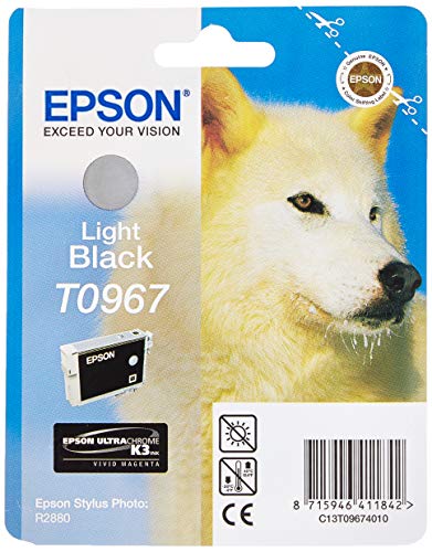 Epson T0967 - Print cartridge - 1 x light black - 6210 pages