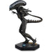 Aliens vs Predator: Xenomorph Drone 1:16 Scale Figurine 15cm (CL14+)