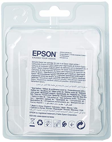 Epson T0793 - Print cartridge - 1 x magenta - 720 pages