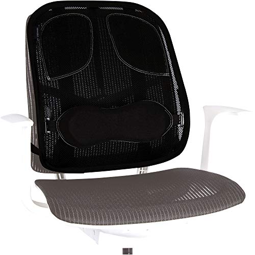 Best Value Fellowes Professional Series Mesh Back Support Office Chair with Lumbar Support and Tri-Tensioning, Graphite (Black)