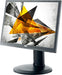 I960PRDA - LED monitor - 19" - 1280 x 1024 - IPS - 250 cd/m2 - 1000:1 - 14 ms - DVI-D, VGA - Speakers - Black