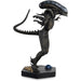 Aliens vs Predator: Xenomorph Drone 1:16 Scale Figurine 15cm (CL14+)