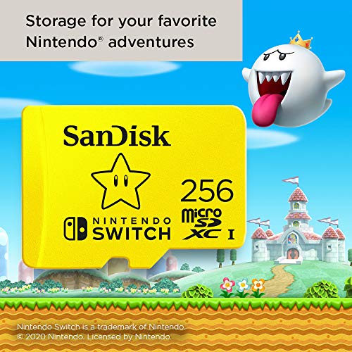 256GB Nintendo CL10 UHS1 MicroSDXC