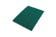 Best Value EcoTech CPD02010 Scouring Pads, Green, Small, 11.5 x 15 cm, Pack of 10