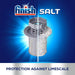 Finish Dishwasher Salt 1kg 1002132