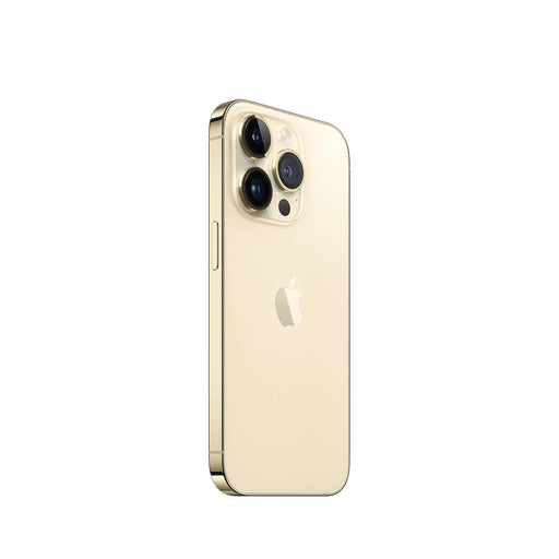 Apple iPhone 14 Pro - 5G smartphone - dual-SIM / Internal Memory 1 TB - OLED display - 6.1" - 2556 x 1179 pixels (120 Hz) - 3x rear cameras 48 MP, 12 MP, 12 MP - front camera 12 MP - gold