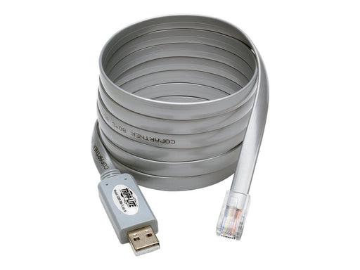 Tripp Lite USB to RJ45 Cisco Serial Rollover Cable, USB Type-A to RJ45 M/M, 6 ft - Serial adapter - USB - grey