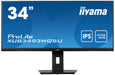 Iiyama 34\W LCD Business UWQHD IPS