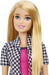 Barbie You Can Be Anything - Interior Designer Doll //HCN12-9596