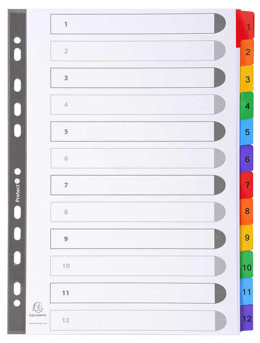 Best Value Exacompta Mylar Printed Indices, A4, 12 Parts (1-12) - White