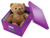 Best Value Leitz A4 Storage Box, Click and Store Range 60440062 - Medium, Purple