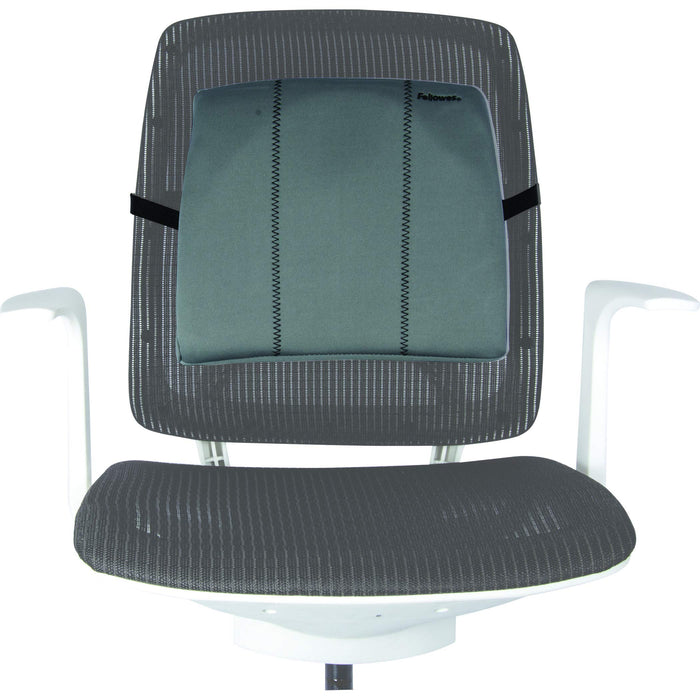 Best Value Fellowes Slimline Back Support for Office Chair