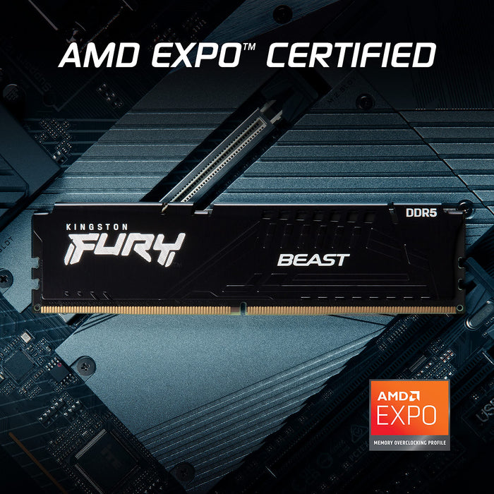 Kingston FURY Beast - DDR5 - kit - 64 GB: 2 x 32 GB - DIMM 288-pin - 6000 MHz / PC5-48000 - CL36 - 1.35 V - unbuffered - on-die ECC