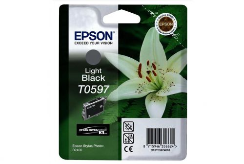 Best Value Epson Stylus R2400 Light Black Ink